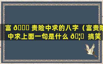 富 🐕 贵险中求的八字（富贵险中求上面一句是什么 🦅  搞笑）